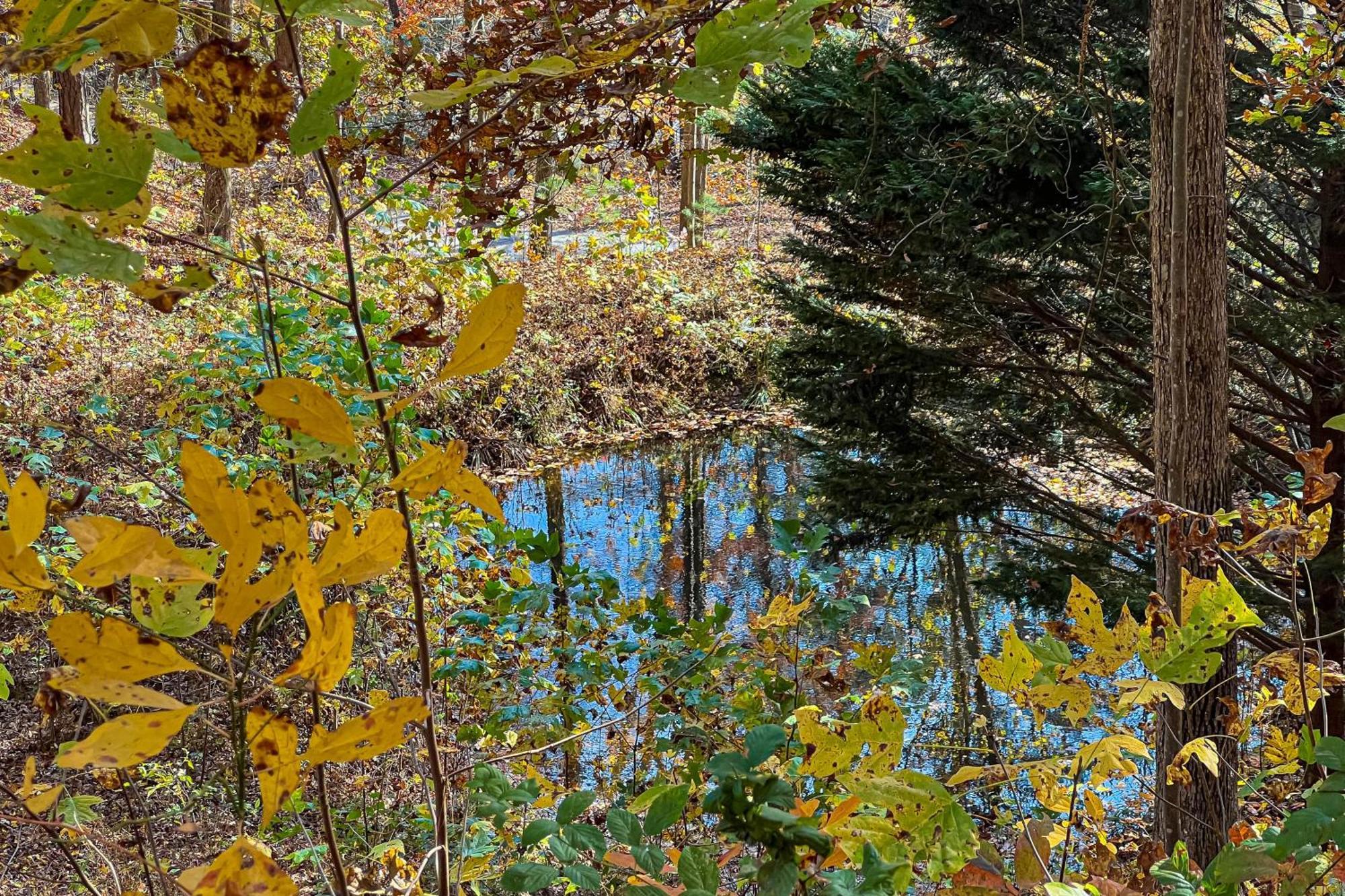 Best Kept Secret Blue Ridge Exterior foto